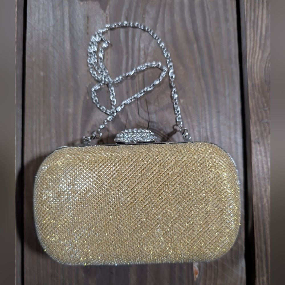 Shimmering Gold and Silver Evening Clutch